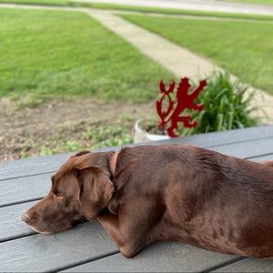 Meet your Posher, Karlee